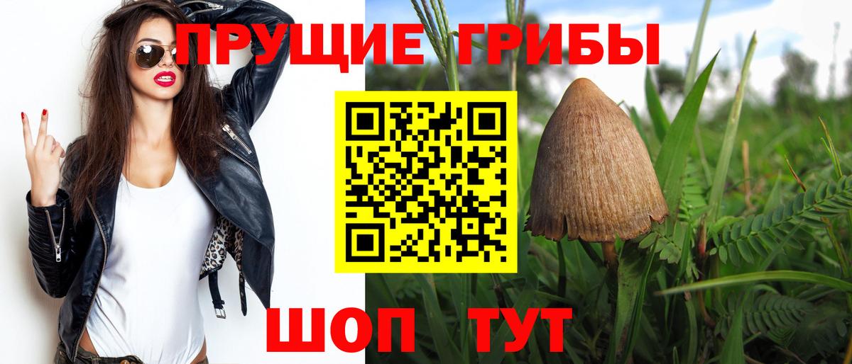 Гусиноозёрск  Псилоцибиновые грибы MAGIC MUSHROOMS  цена наркотик  Вход с VPN 